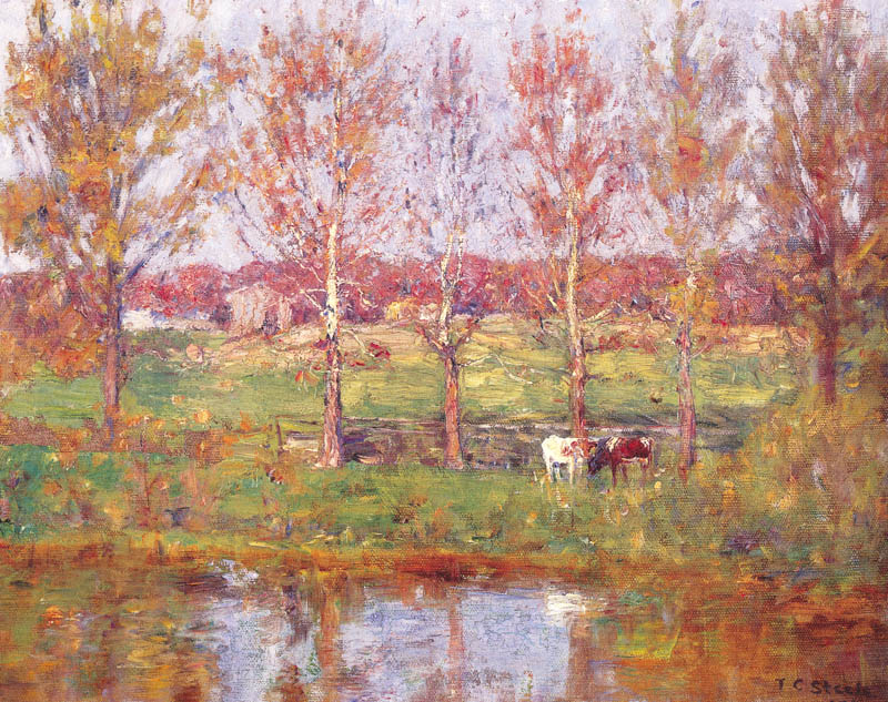 Cows by the Stream
